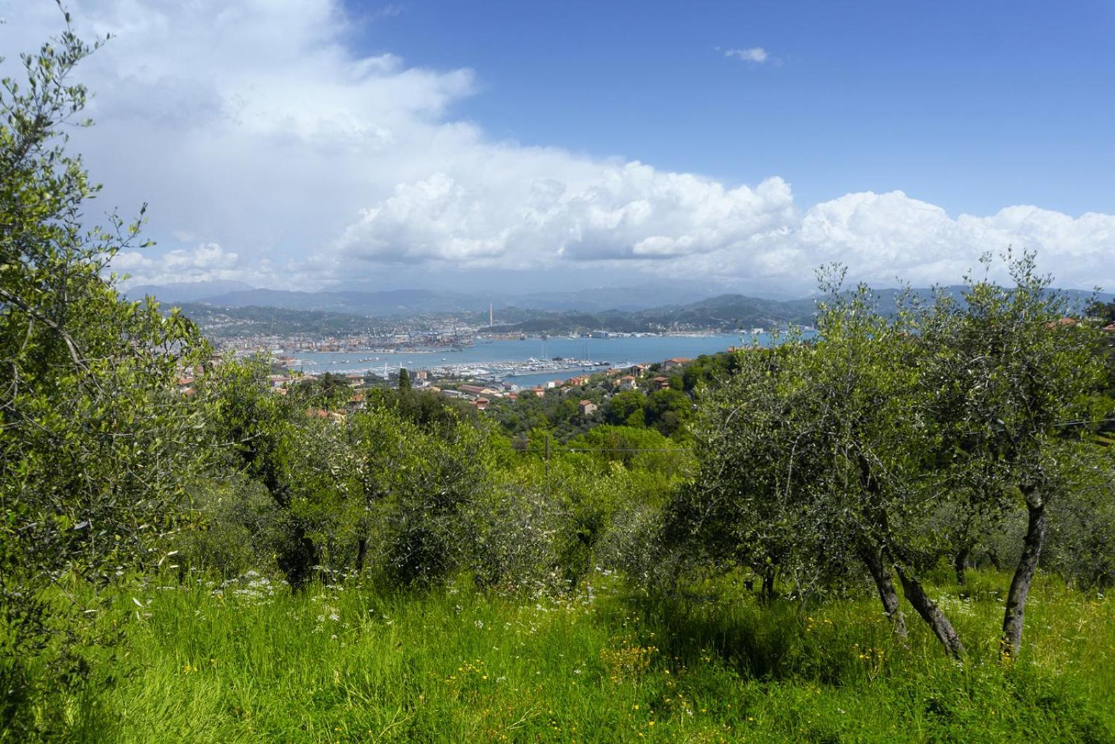 Gli Ulivi Sul Golfo E Le 5 Terre Apartman La Spezia Kültér fotó
