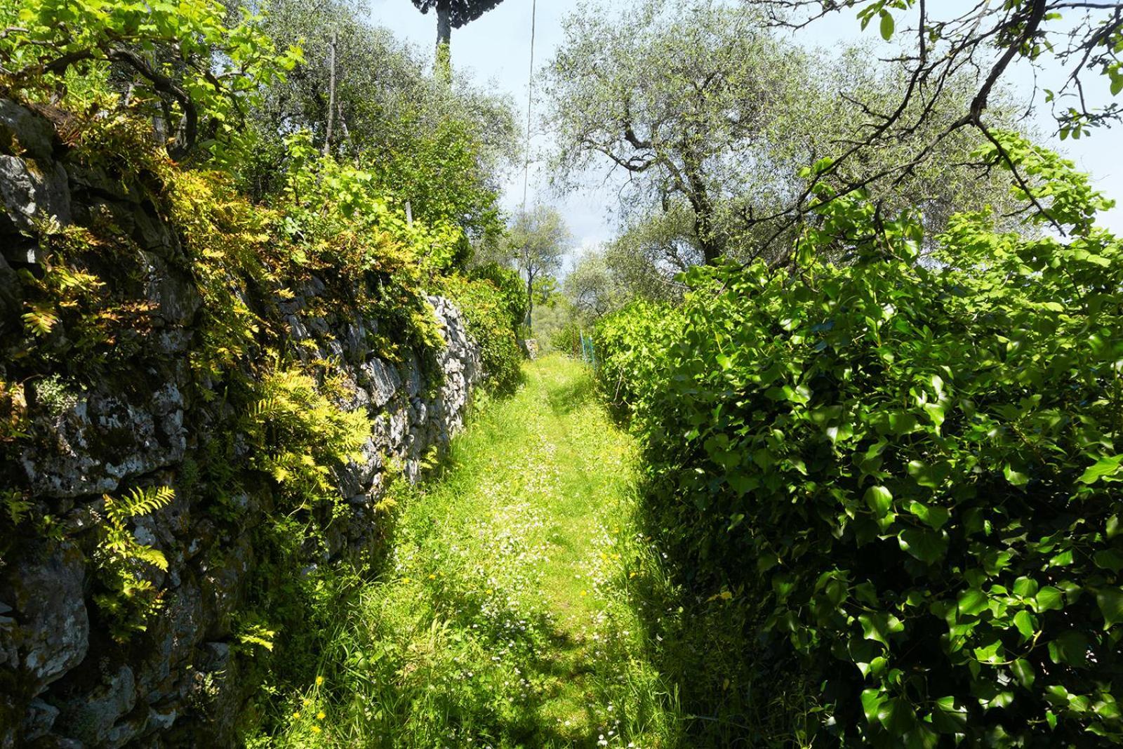 Gli Ulivi Sul Golfo E Le 5 Terre Apartman La Spezia Kültér fotó