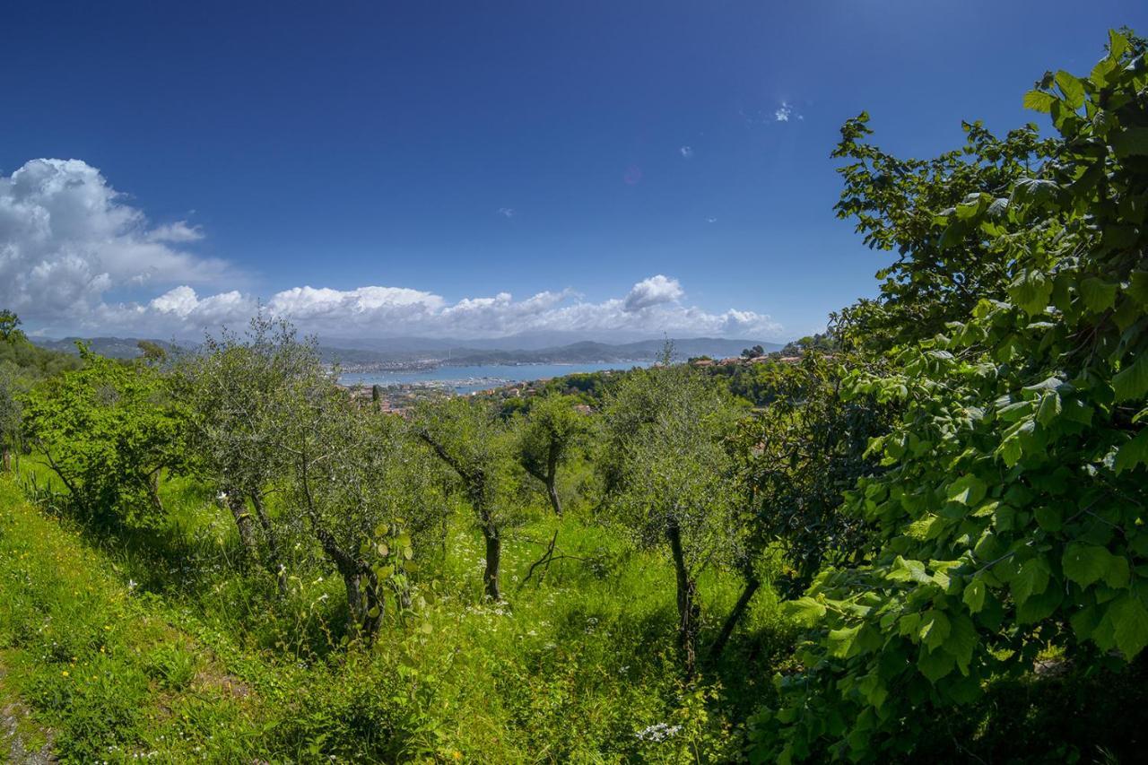 Gli Ulivi Sul Golfo E Le 5 Terre Apartman La Spezia Kültér fotó